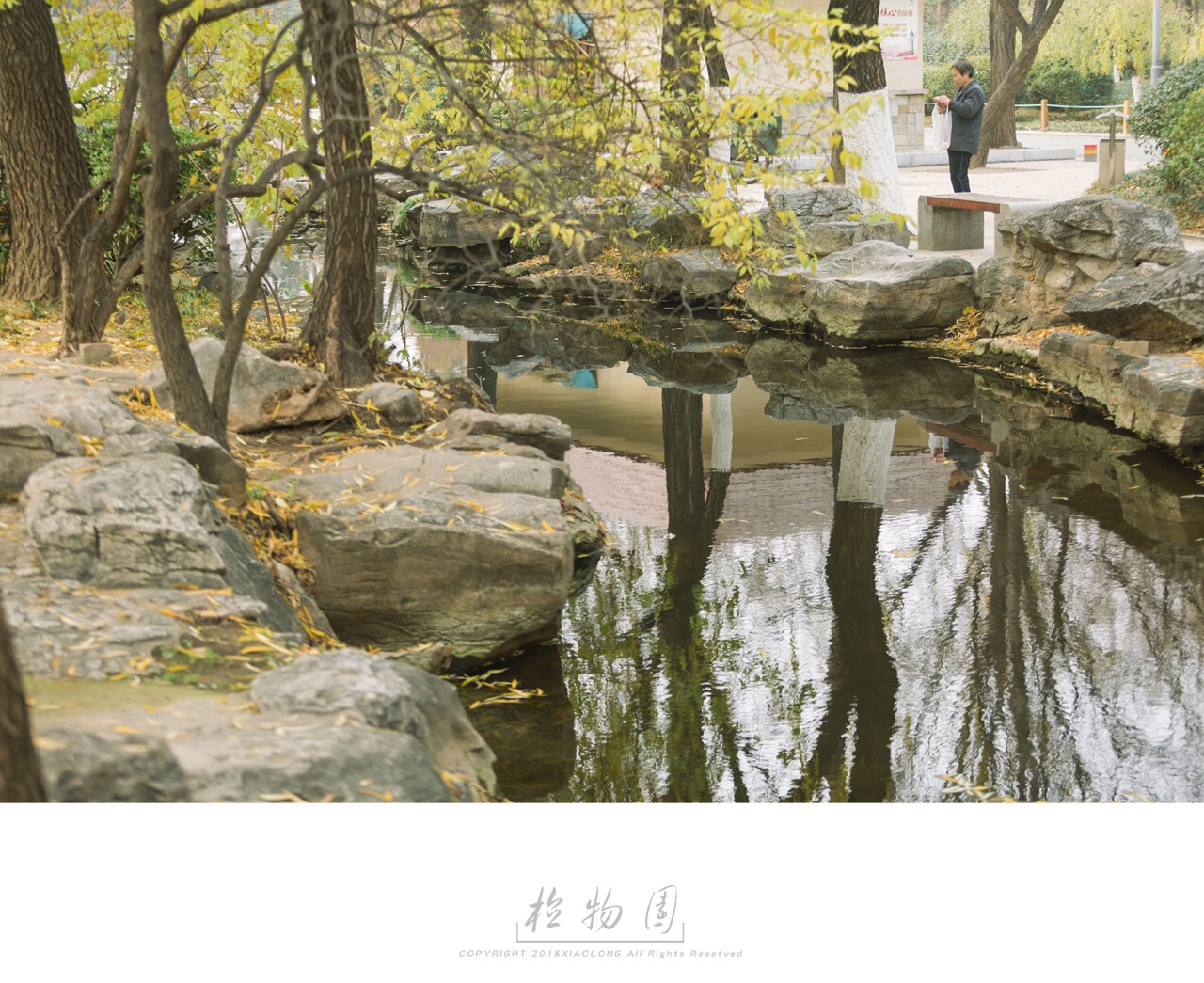 4-Day Jinan Tour: Daming Lake's elegance, Baotu Spring's charm