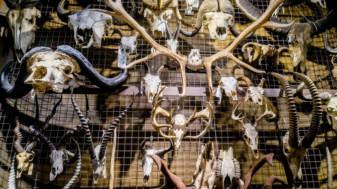 加拿大 多伦多五日谈 城市幻想日记 多伦多游记攻略 携程攻略