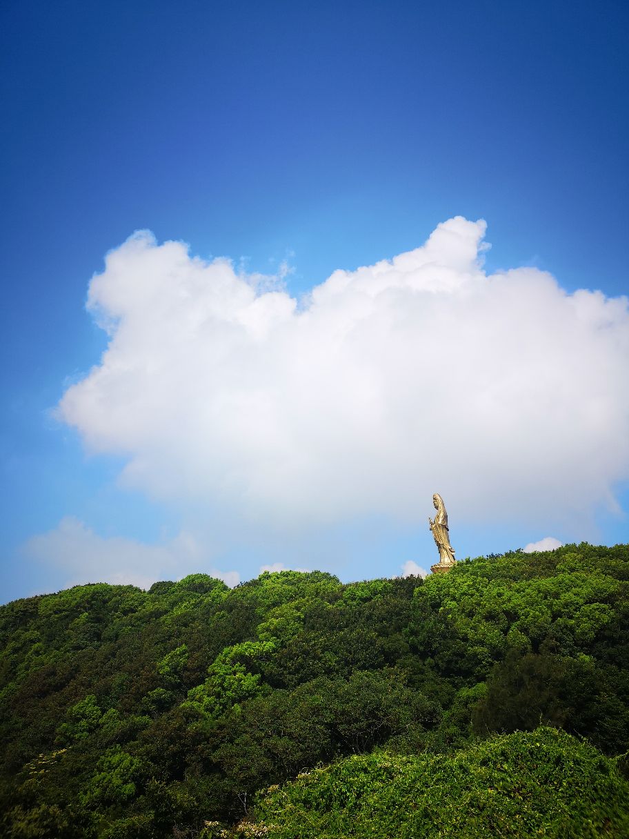 普陀山南海观音显灵(普陀南海观世音菩萨显灵)-第2张图片-鲸幼网