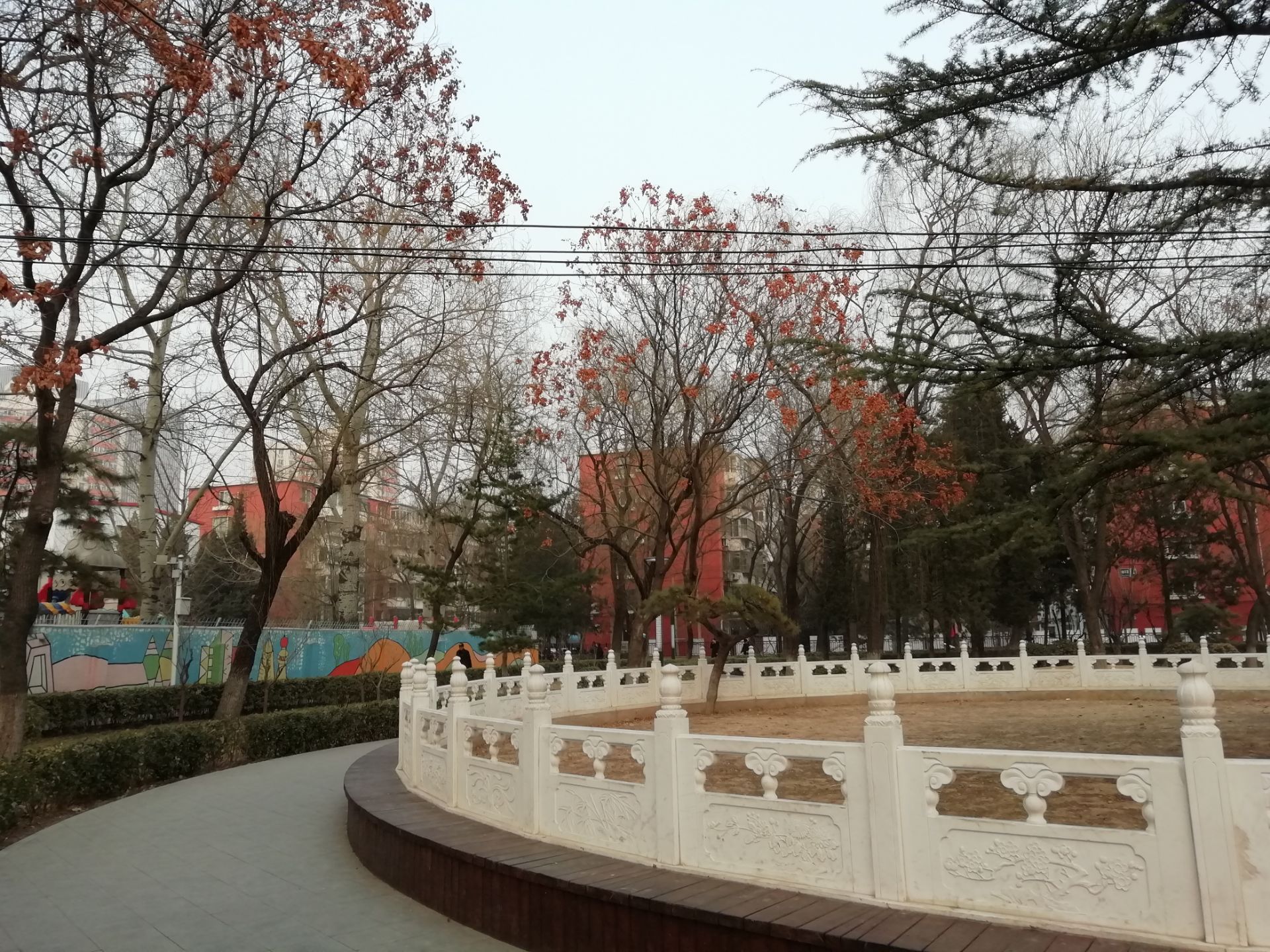 2023北京知春公园游玩攻略,本来就不大,中心修建了一个.