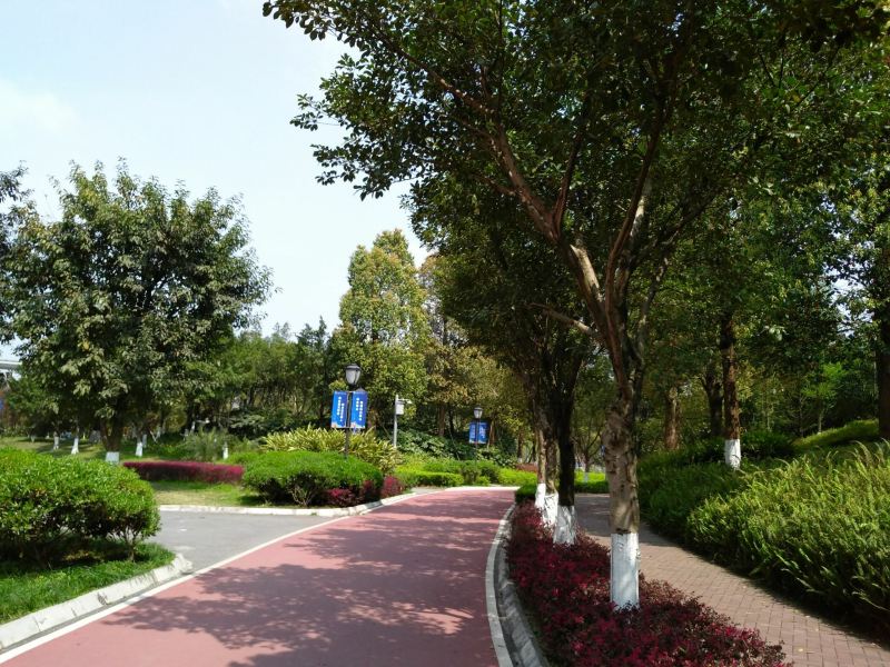大学城滑板公园