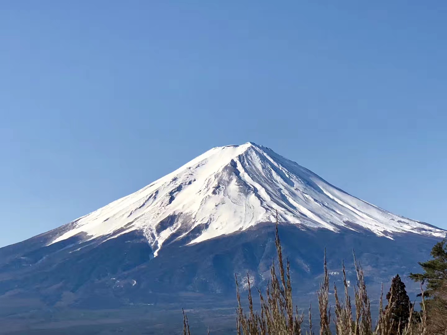 富士山雪景图片素材-编号09871876-图行天下