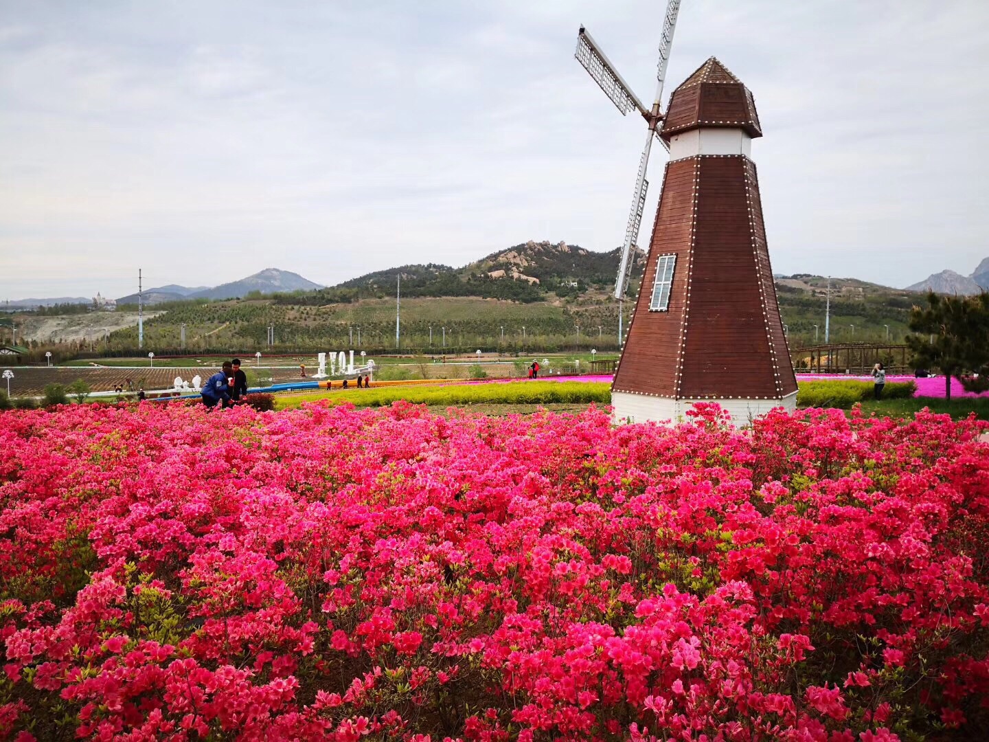 青岛西海岸生态观光园