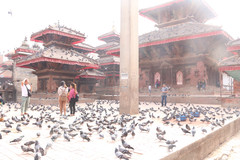 [尼泊尔游记图片] 尼泊尔的人文风景之旅，二人团尼泊尔八日观乐游