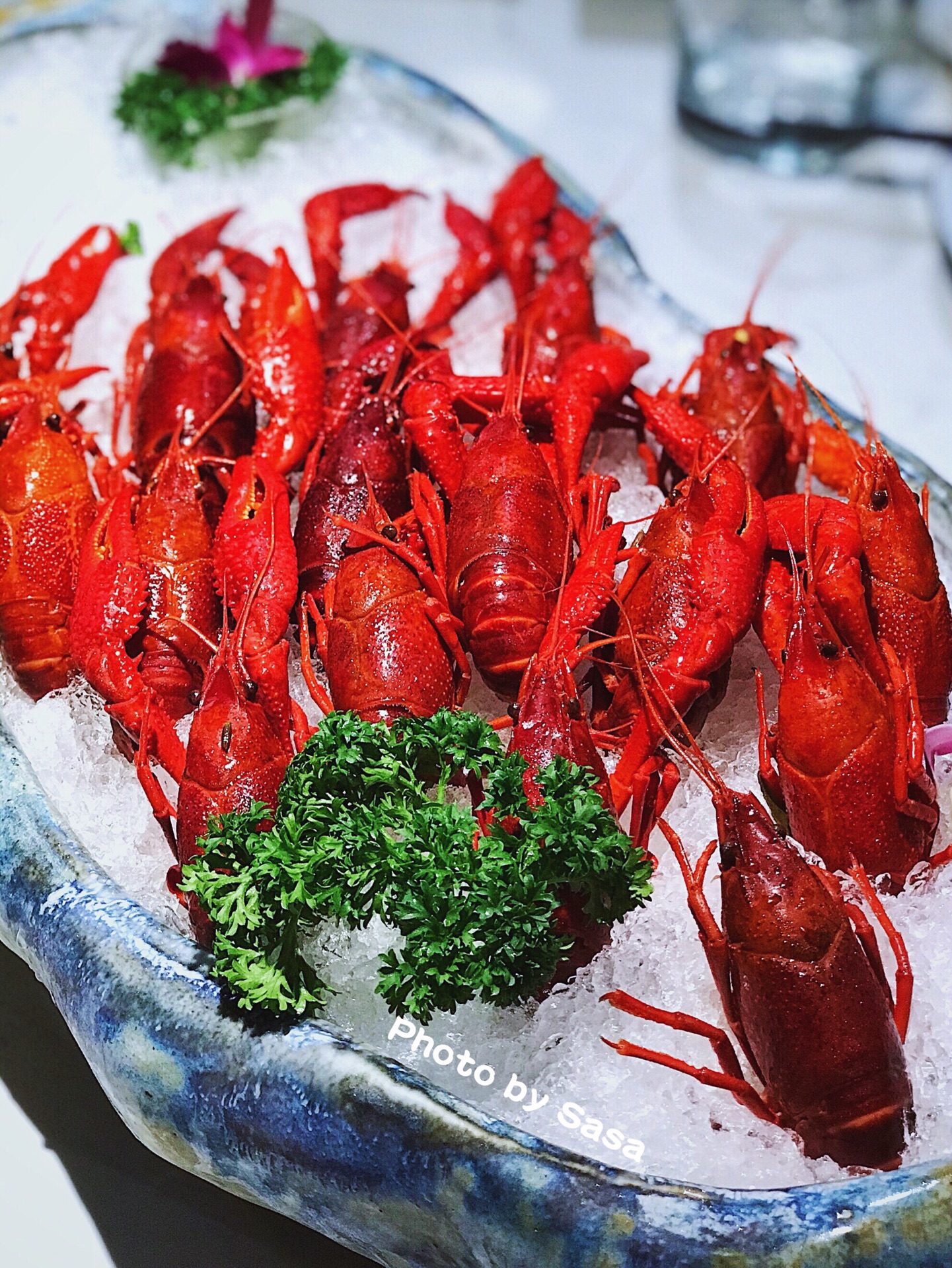 2021舞虾小说·砂锅居(双阳支路店)美食餐厅,超级超级超级大的一份 一