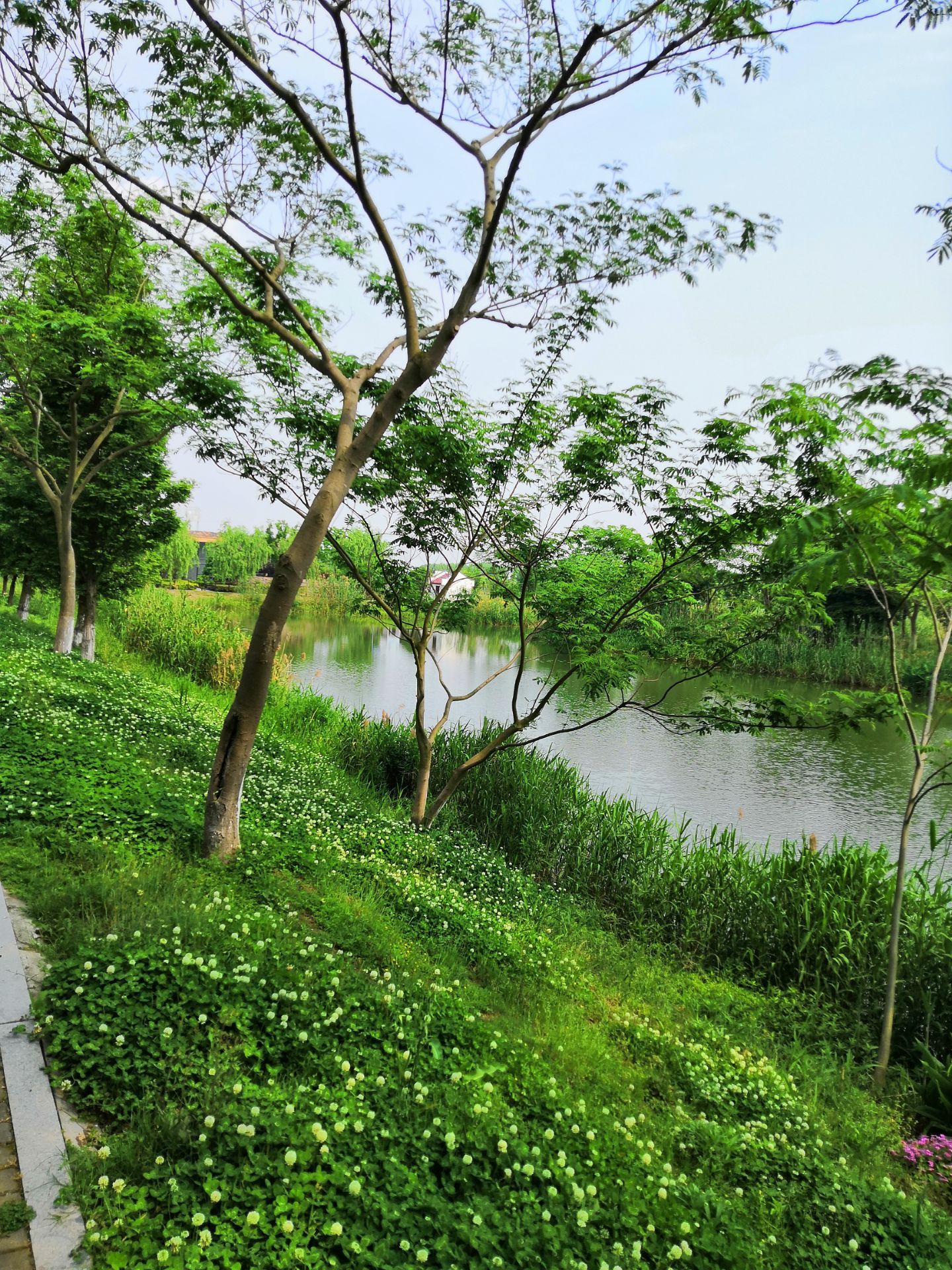 2019浦江郊野公园-旅游攻略-门票-地址-问答-游记点评，上海旅游旅游景点推荐-去哪儿攻略