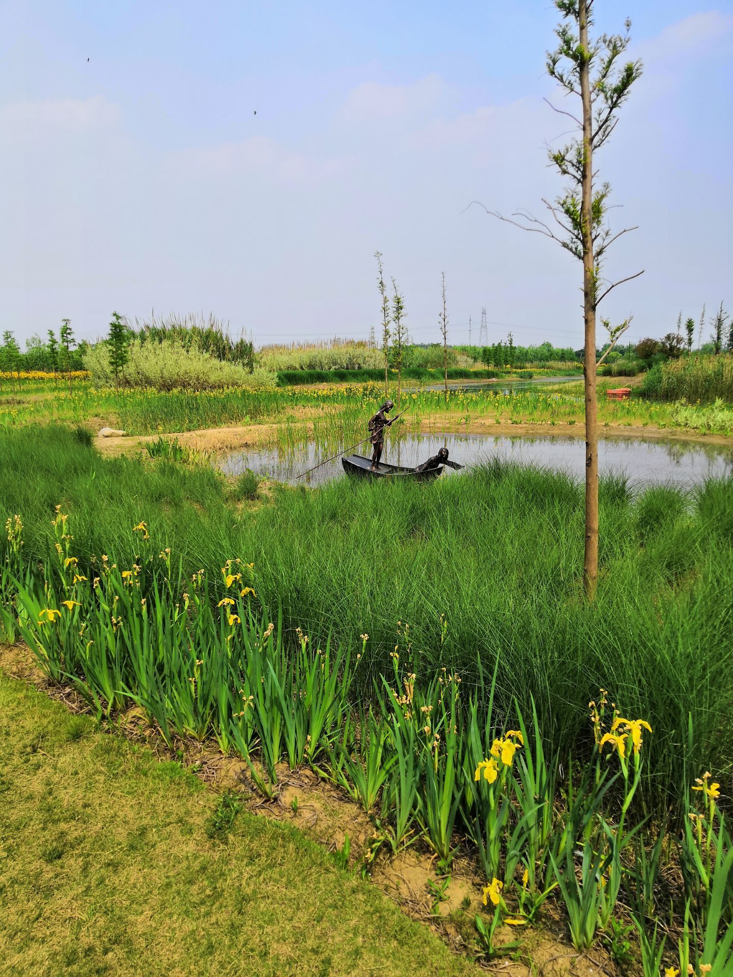 【携程攻略】上海青西郊野公园景点,青西郊野公园是上海市和青浦区政府共同投资建设，以生态保护和市民休…