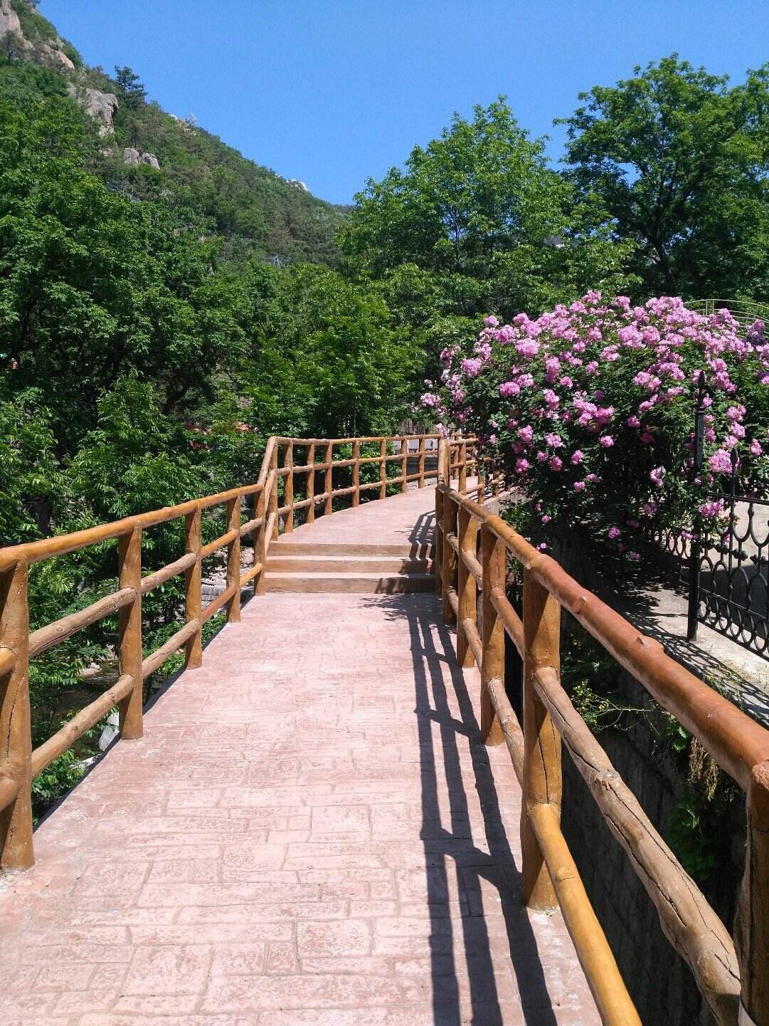 【携程攻略】青岛北宅农业生态旅游区景点,【景色】青岛北宅生态旅游