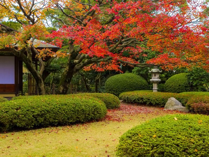 福冈松风园攻略-松风园门票价格多少钱-团购票价预定优惠-景点地址