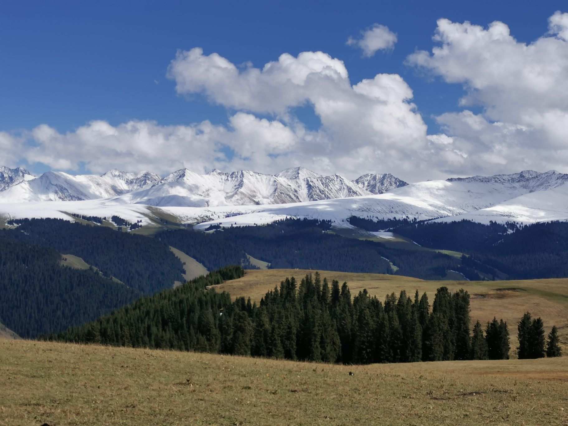 伊犁喀拉峻草原好玩吗,伊犁喀拉峻草原景点怎么样_点评_评价【携程