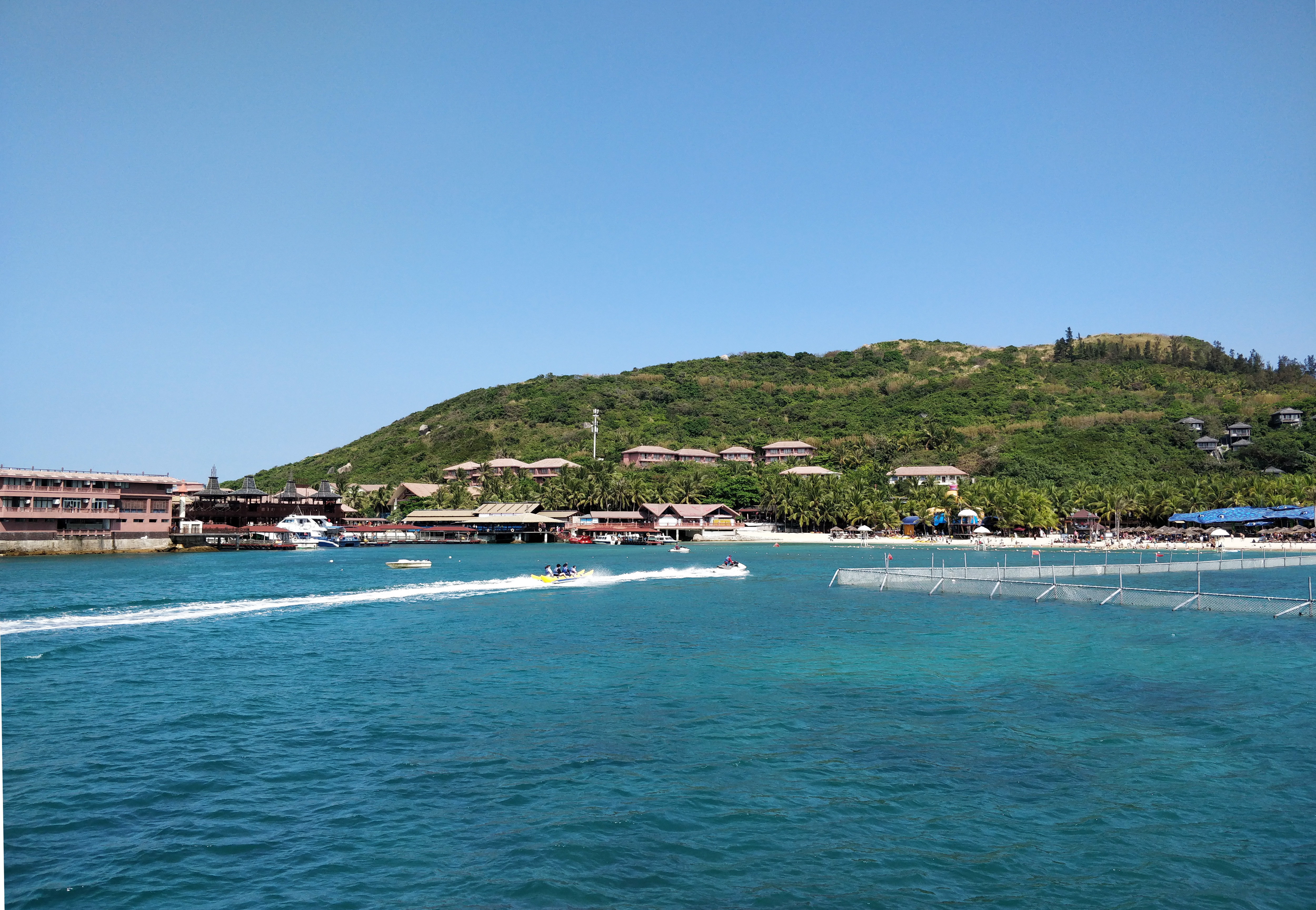 海南分界岛上的这个珊瑚馆，目前也是国内最大的珊瑚馆|珊瑚馆|珊瑚|标本_新浪新闻