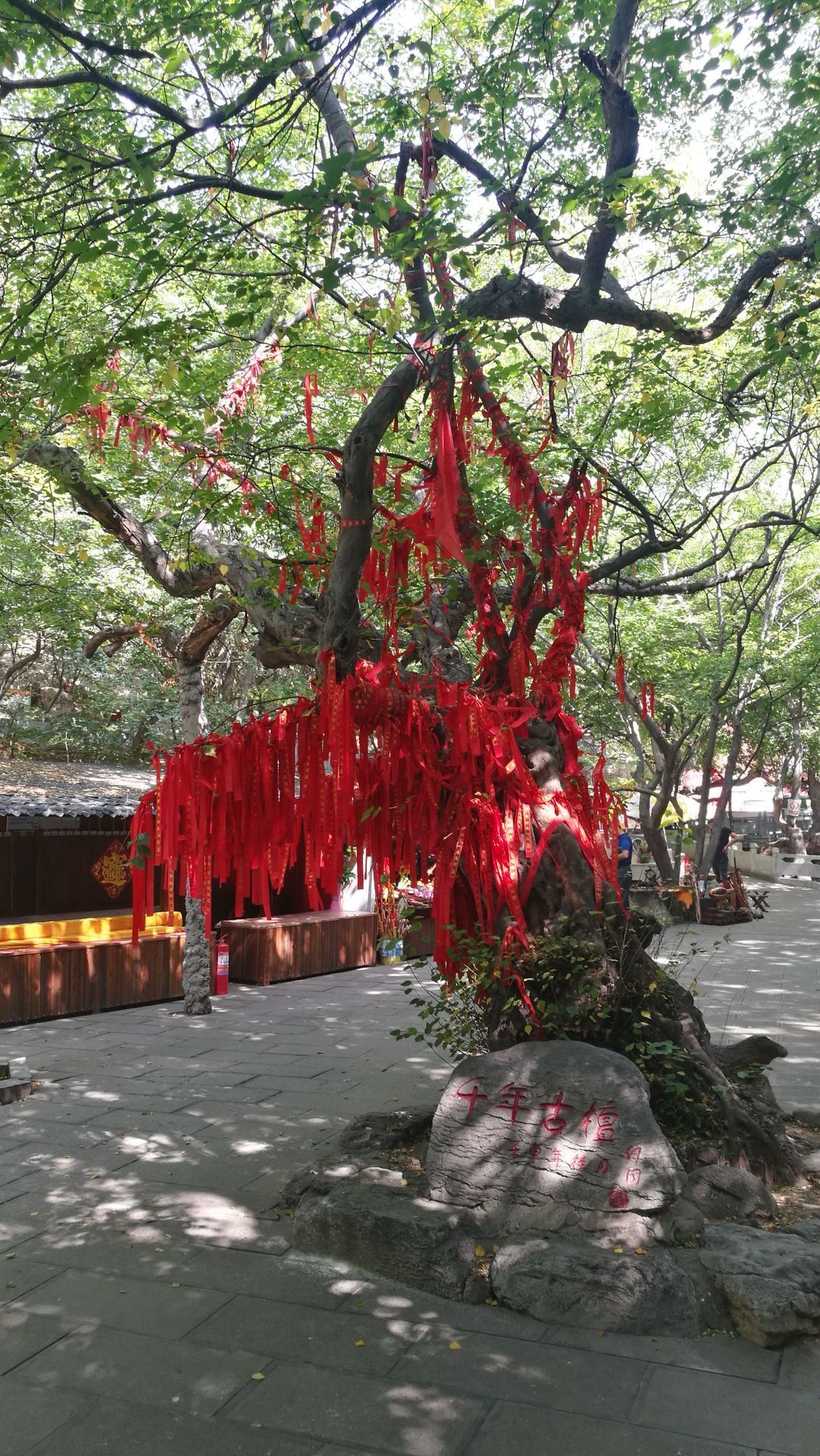 2026青檀寺游玩攻略,青檀寺的历史悠久，据说唐朝...【去哪儿攻略】