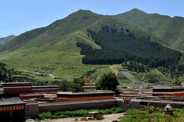 桑科草原是桑科乡达久滩草原的一部分四周群山环抱草场面积达70平方