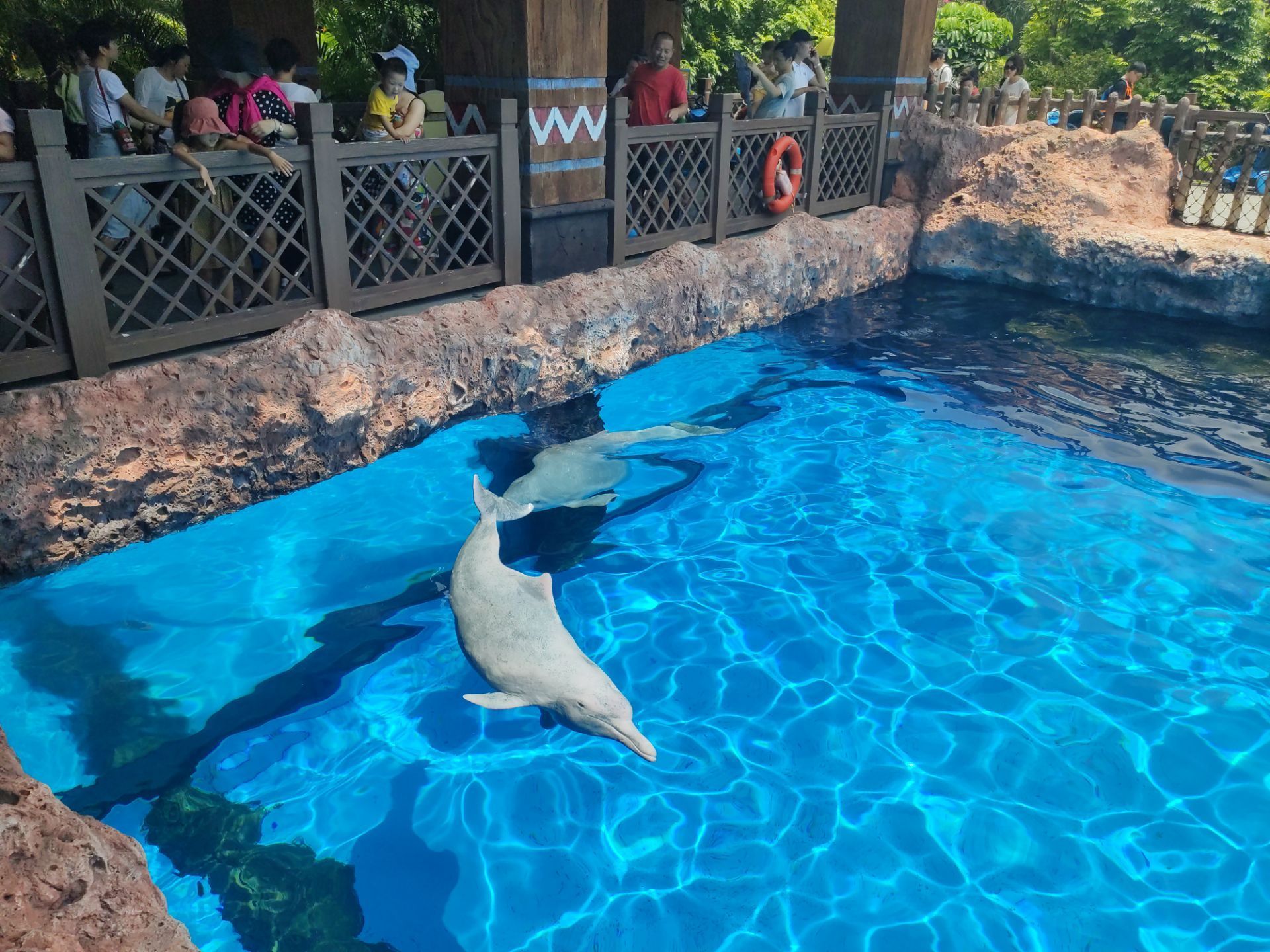 珠海海豚湾好玩吗,珠海海豚湾景点怎么样_点评_评价【携程攻略】