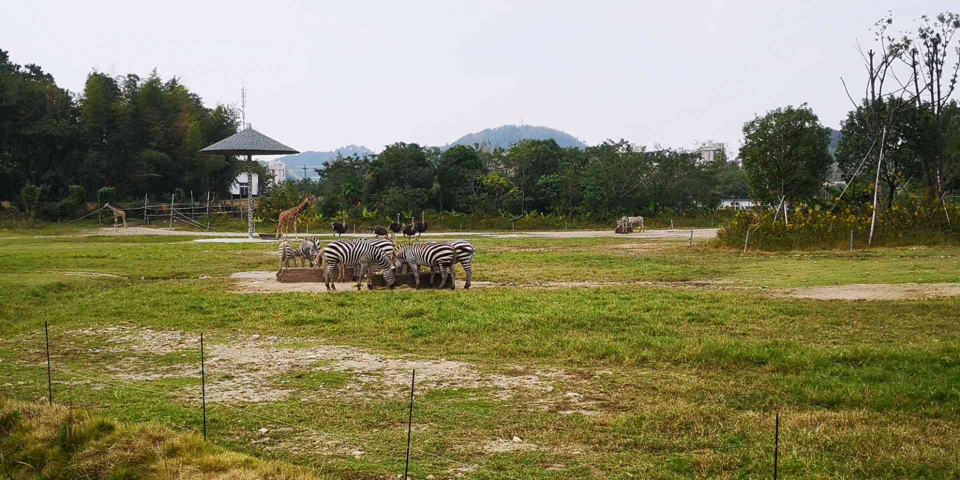 雅戈爾動物園