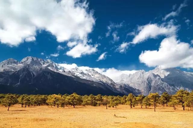 云南旅游景点海拔最高多少米 100q1900000188lvf06FC_R_1024_10000_Q90.jpg?proc=autoorient