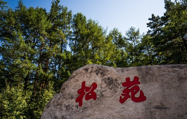 2024松苑原始森林公园游玩攻略,春季是松苑最美的时候，公园...【去哪儿攻略】