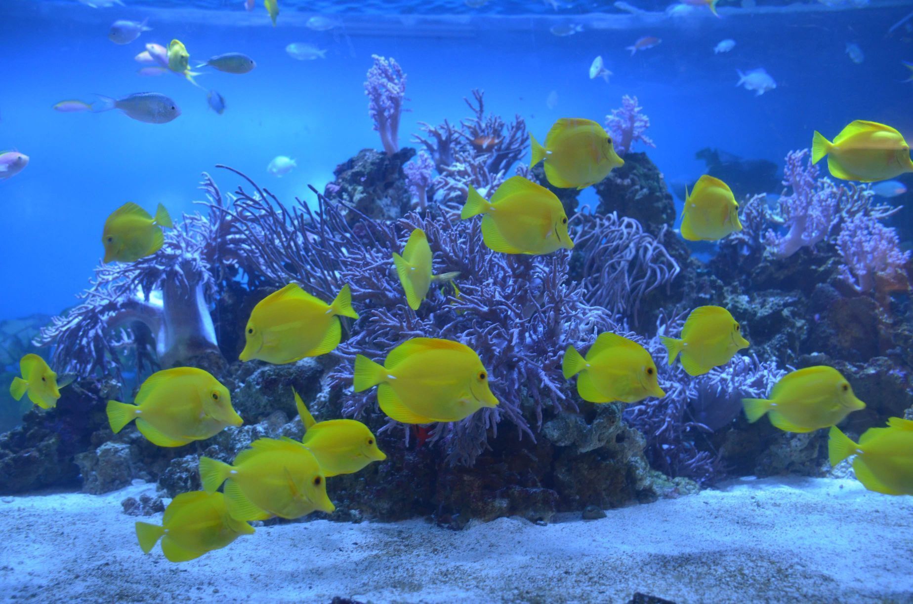 八景岛海岛乐园