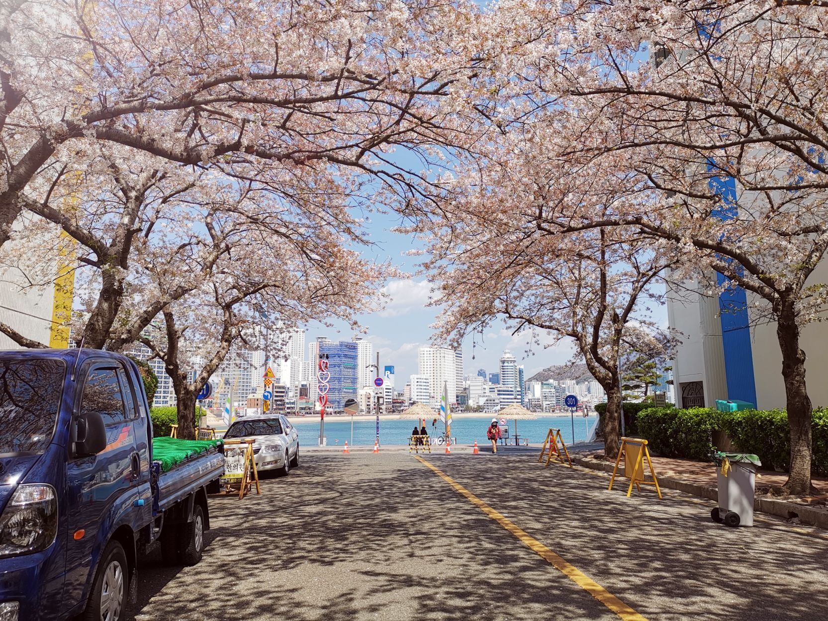 2020南川洞樱花路游玩攻略,建议天气好的时候过去,会更.