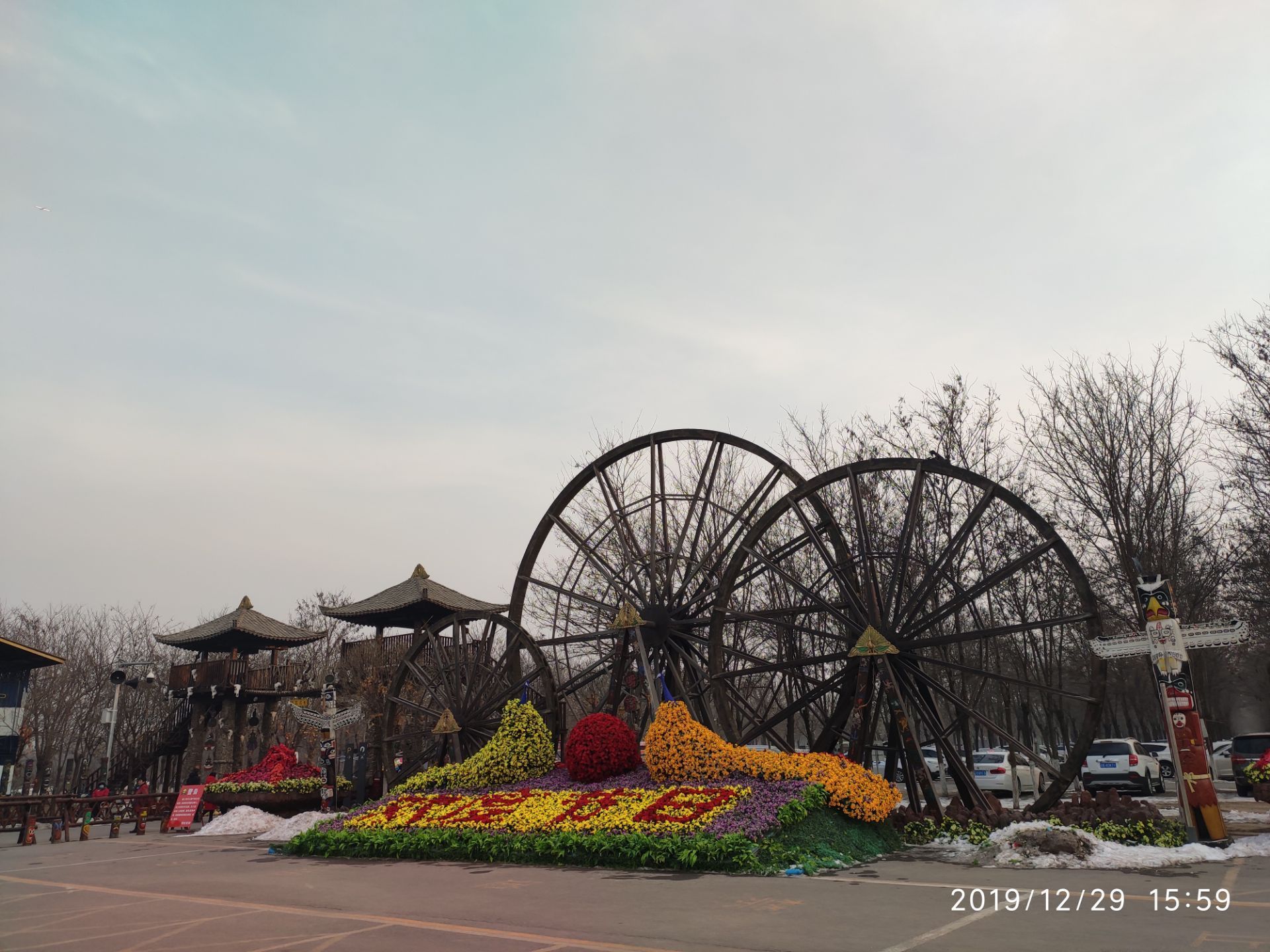 北京的呀路古热带植物园值得去吗？有什么游览攻略分享？ - 知乎