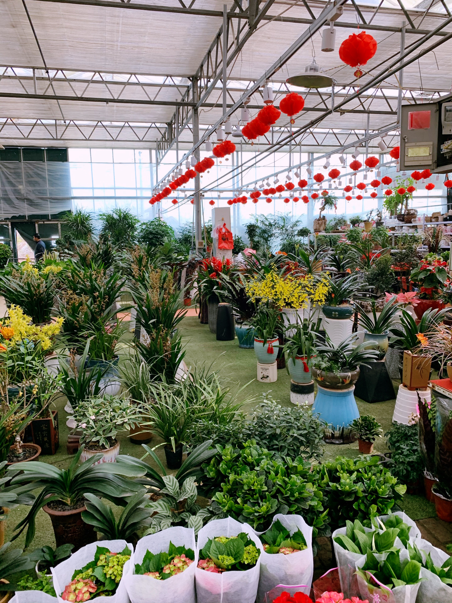 谷里花木园农家乐