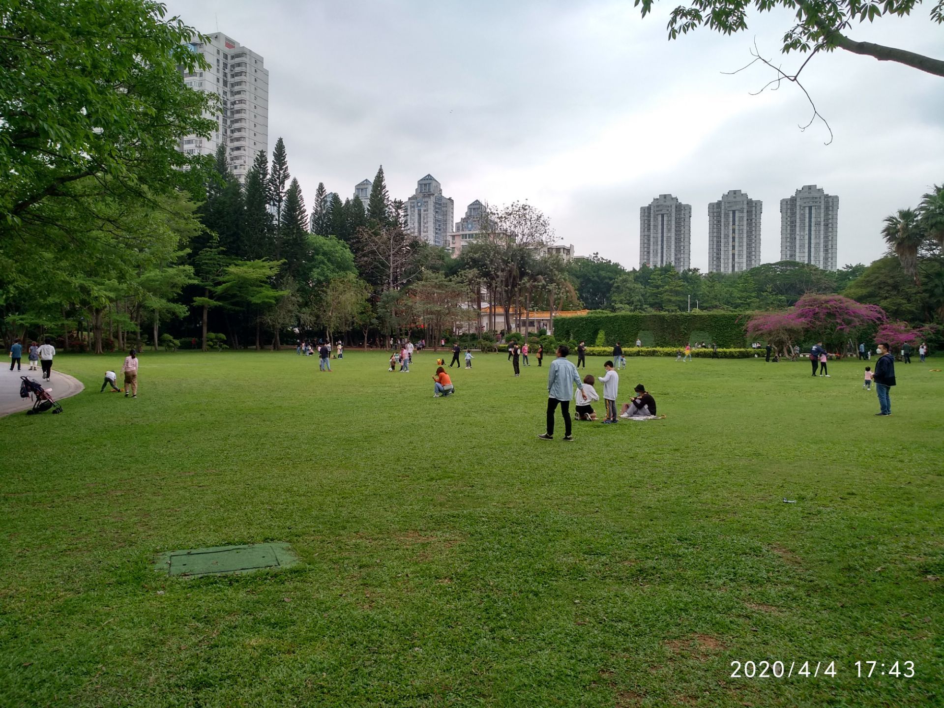 【攜程攻略】深圳荔枝公園景點,荔枝公園就在市中心,以前與路的過道