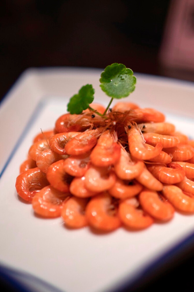 水城兴化,千垛菜花,如诗如画