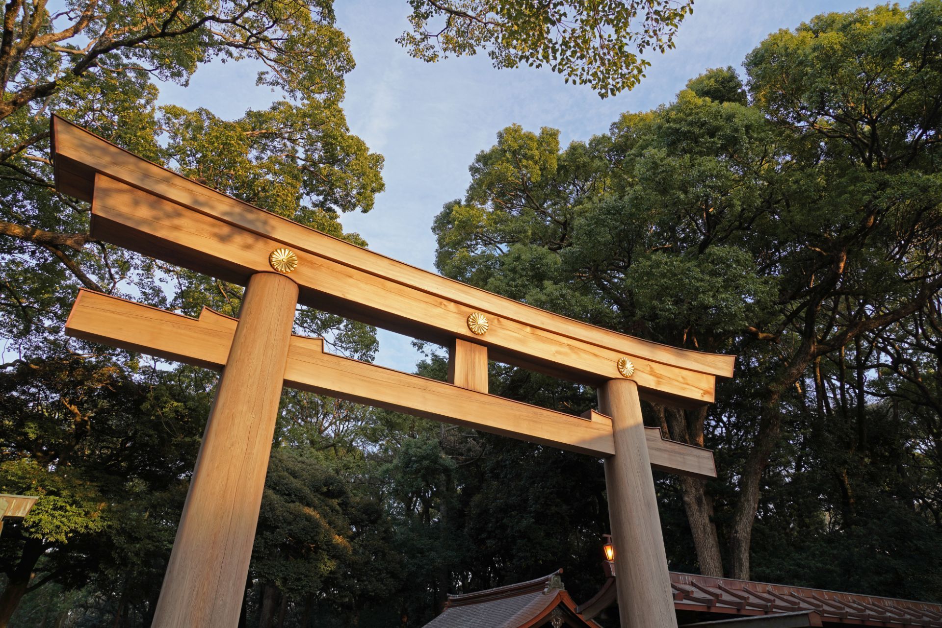 东京明治神宫攻略,东京明治神宫门票/游玩攻略/地址/图片/门票价格