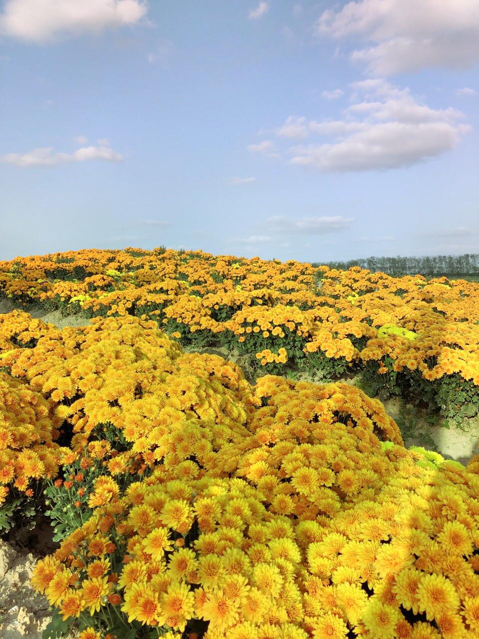 千鹤湾温泉风情小镇菩提美泉