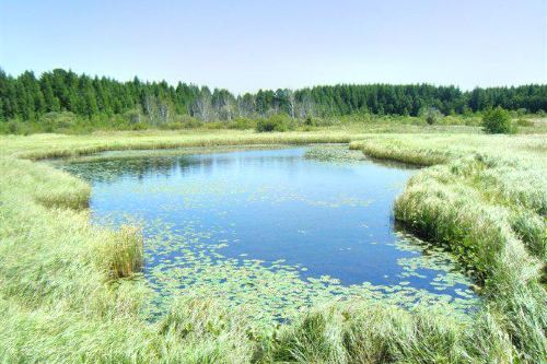 大安安广镇攻略-安广镇门票价格多少钱-团购票价预定