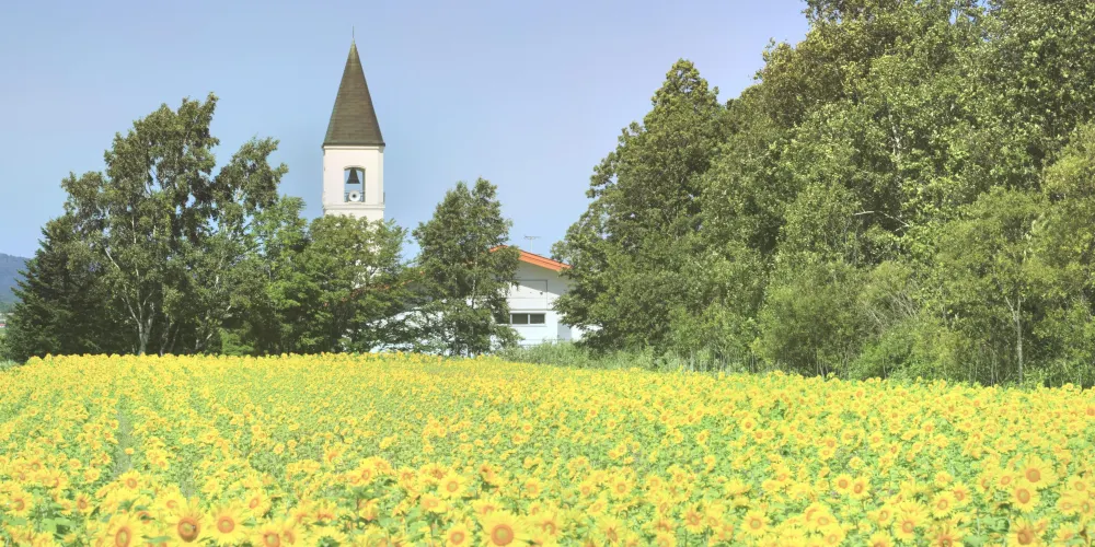 美瑛町美瑛町立美馬牛小學 美瑛町美瑛町立美馬牛小學旅遊攻略簡介當地玩樂門票酒店一覽 永安旅遊