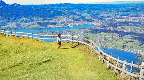 Rigi