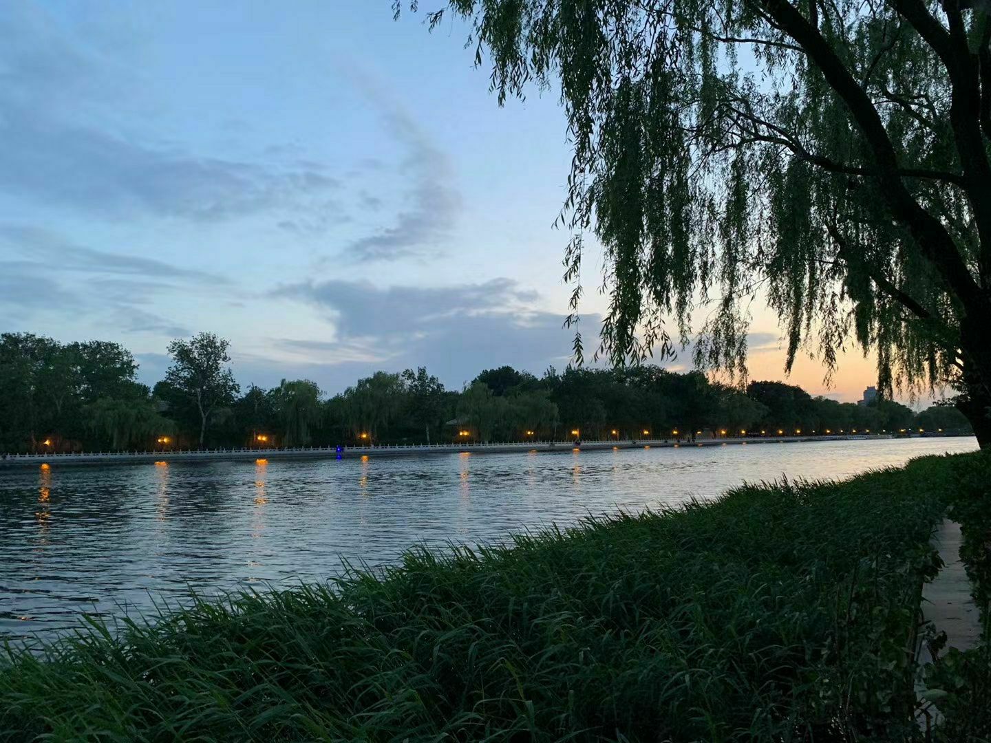 大運河森林公園西園