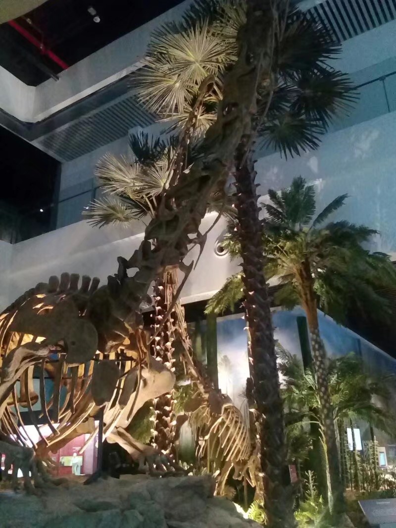 福建博物院自然馆