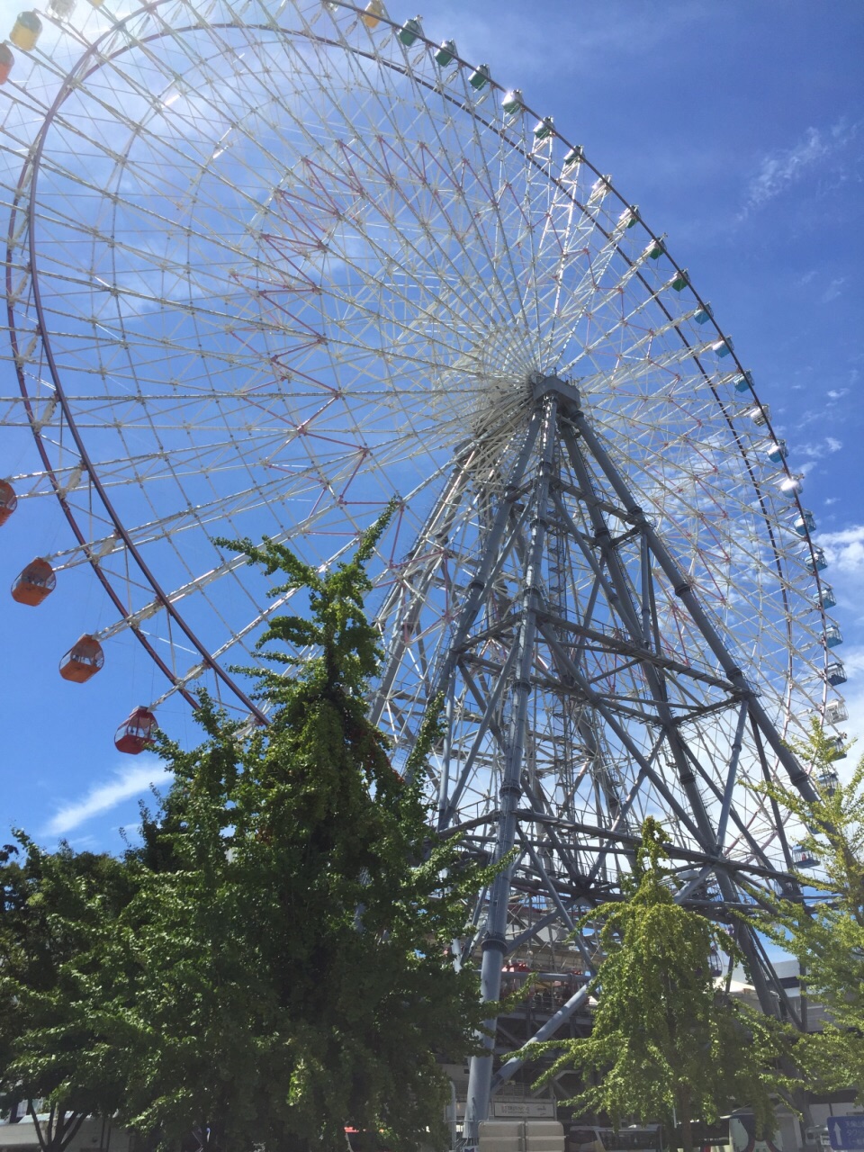 天保山大摩天轮