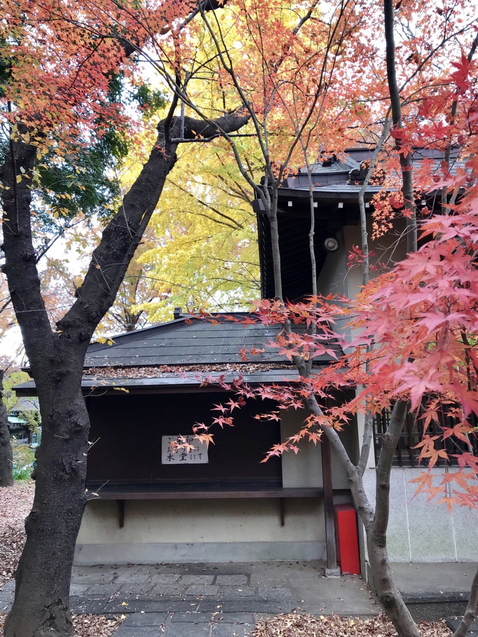 东京自由之丘好玩吗,东京自由之丘景点怎么样_点评_评价【携程攻略】