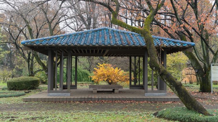 调布市神代植物公园游玩攻略 神代植物公园门票多少钱 价格表 团购票价预定优惠 景点地址在哪里 图片介绍 参观预约 旅游游览顺序攻略及注意事项 营业时间 携程攻略