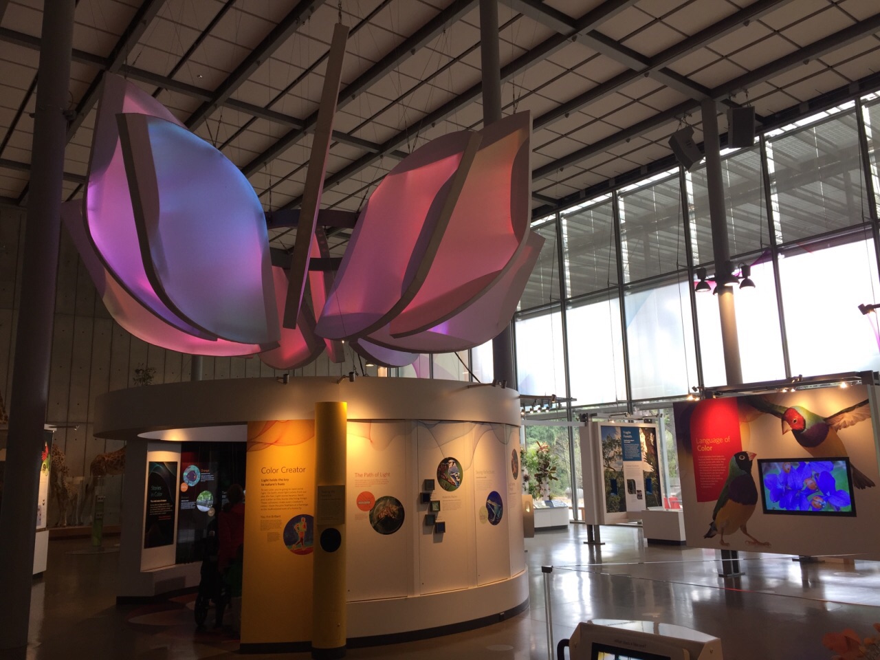 加州科学博物馆