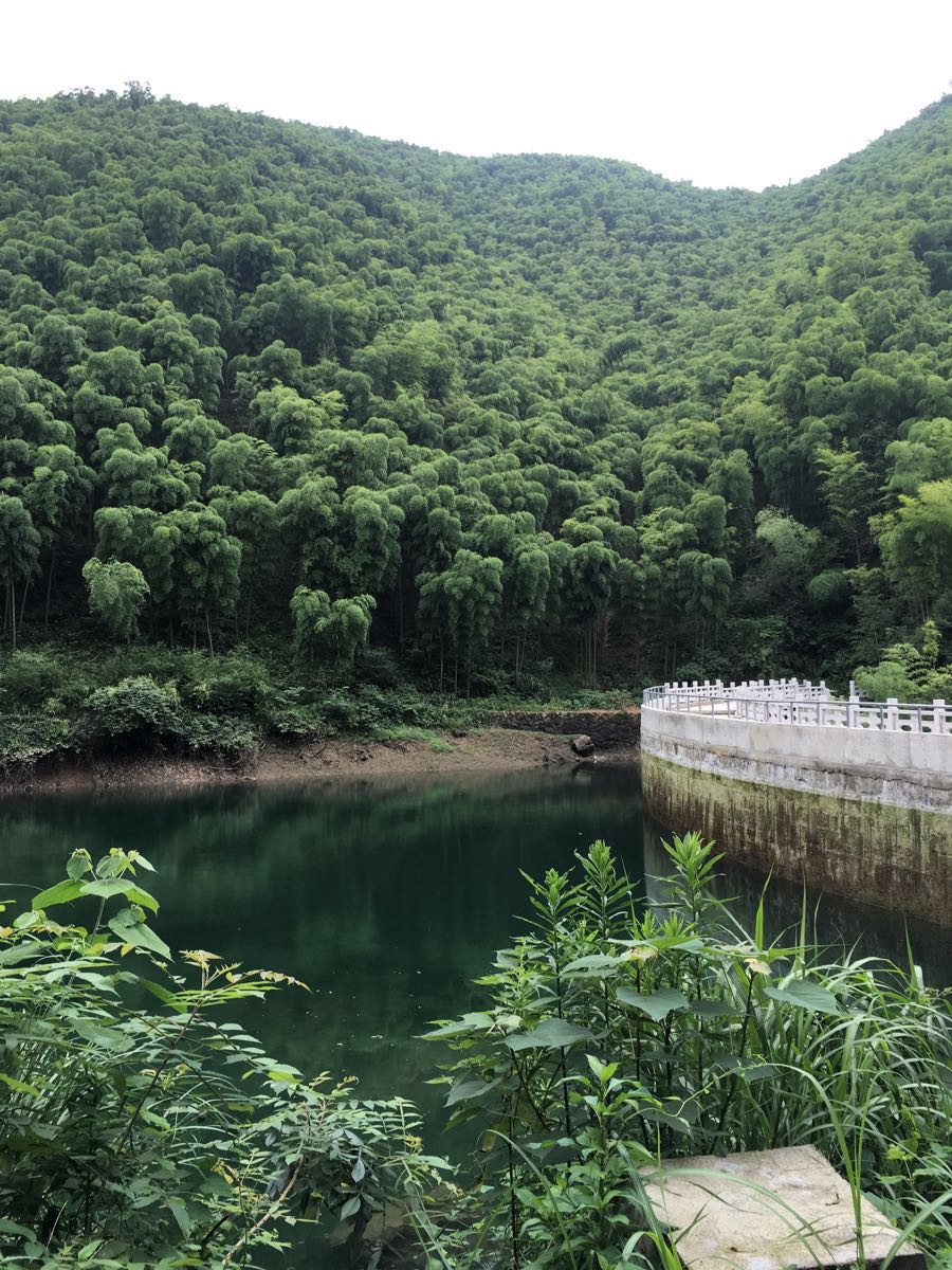 莫干山景區旅遊景點攻略圖