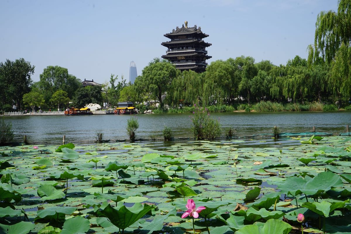 大明湖景区