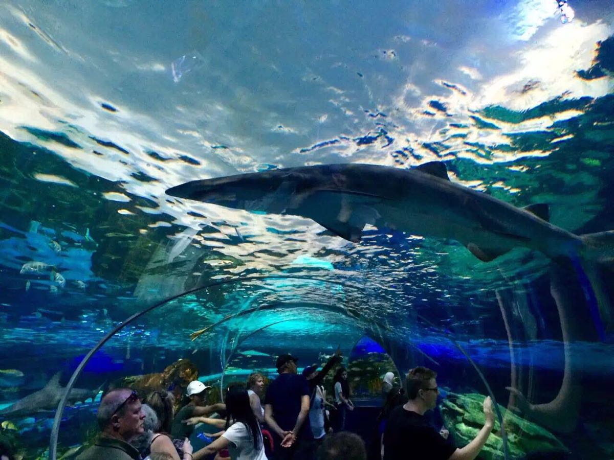 普吉10号商务会馆