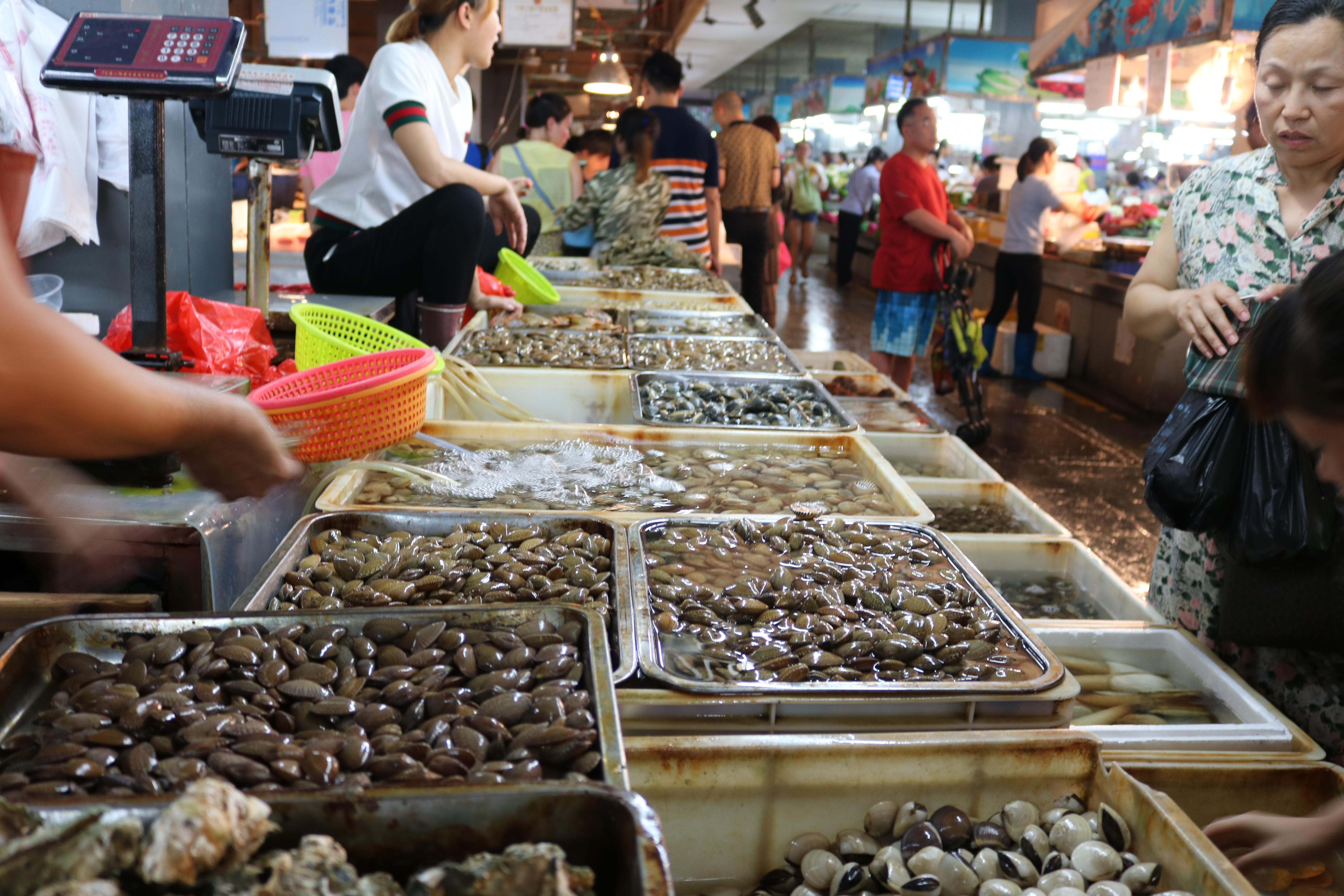 【携程攻略】三亚第一市场适合家庭亲子旅游吗,第一市场家庭亲子景点