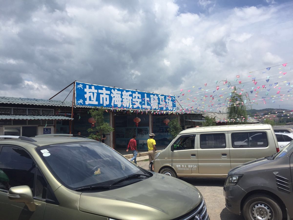 拉市海安中马场