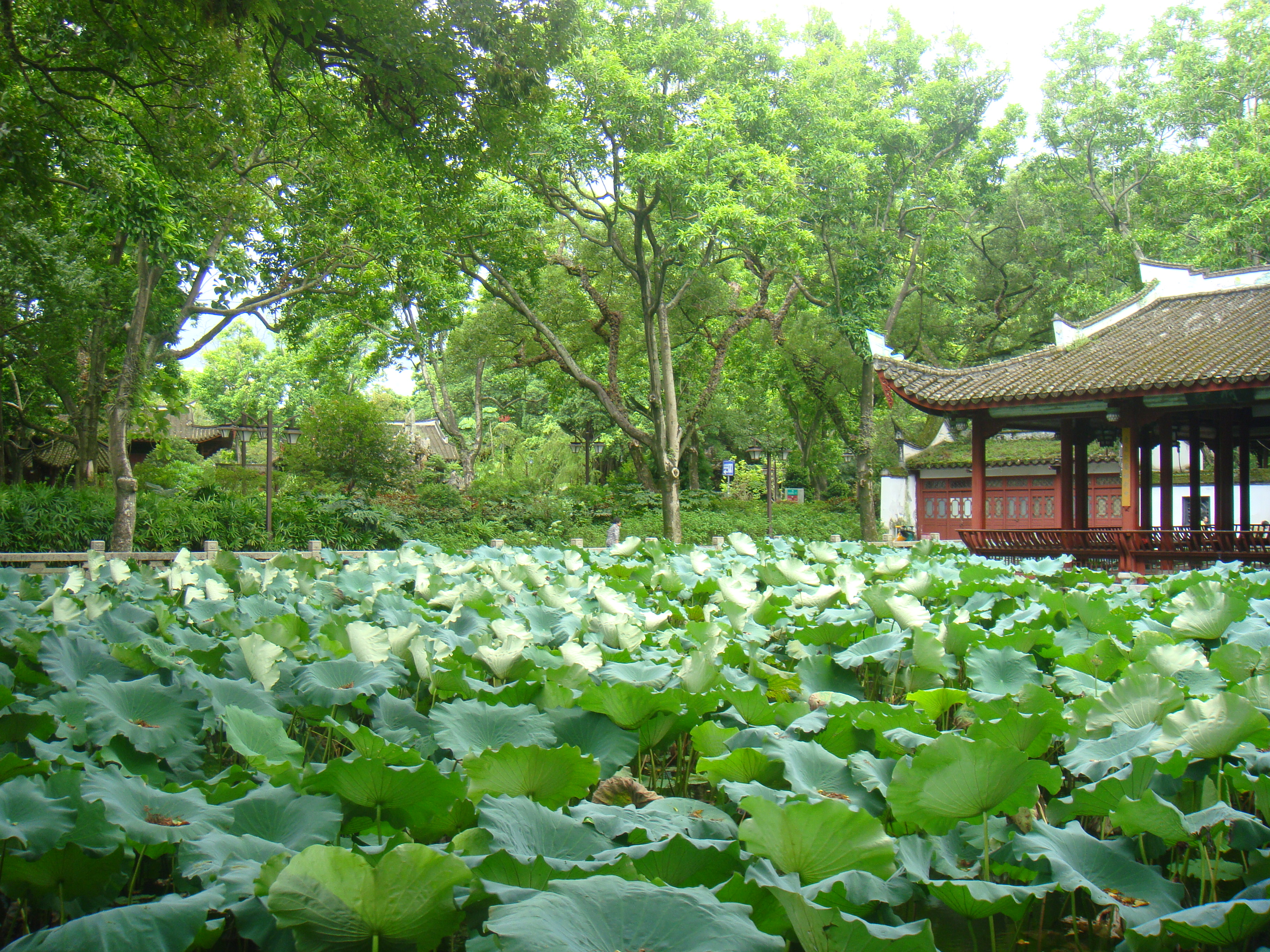 福州西湖公园景观图片