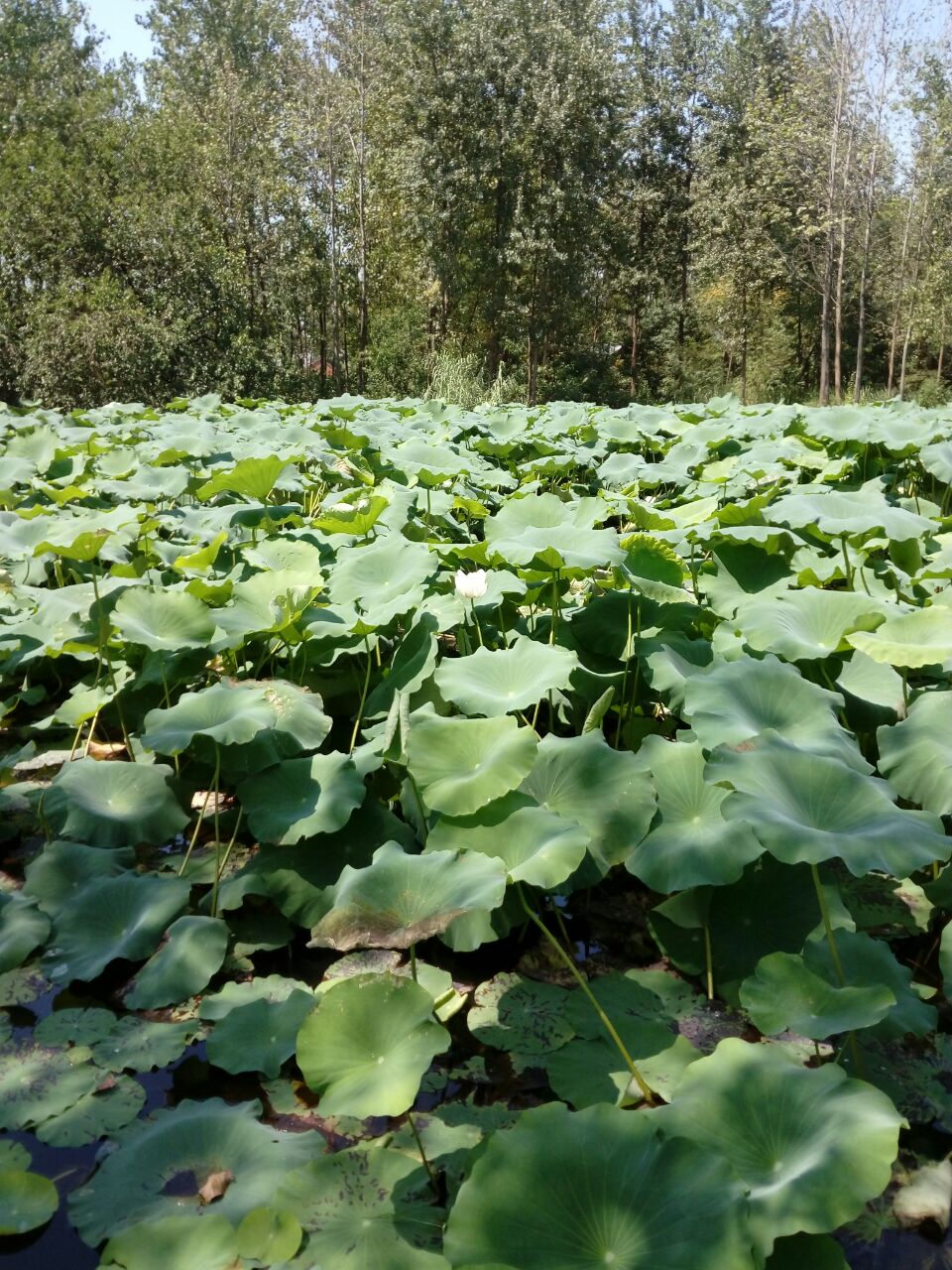 迪溝風景區