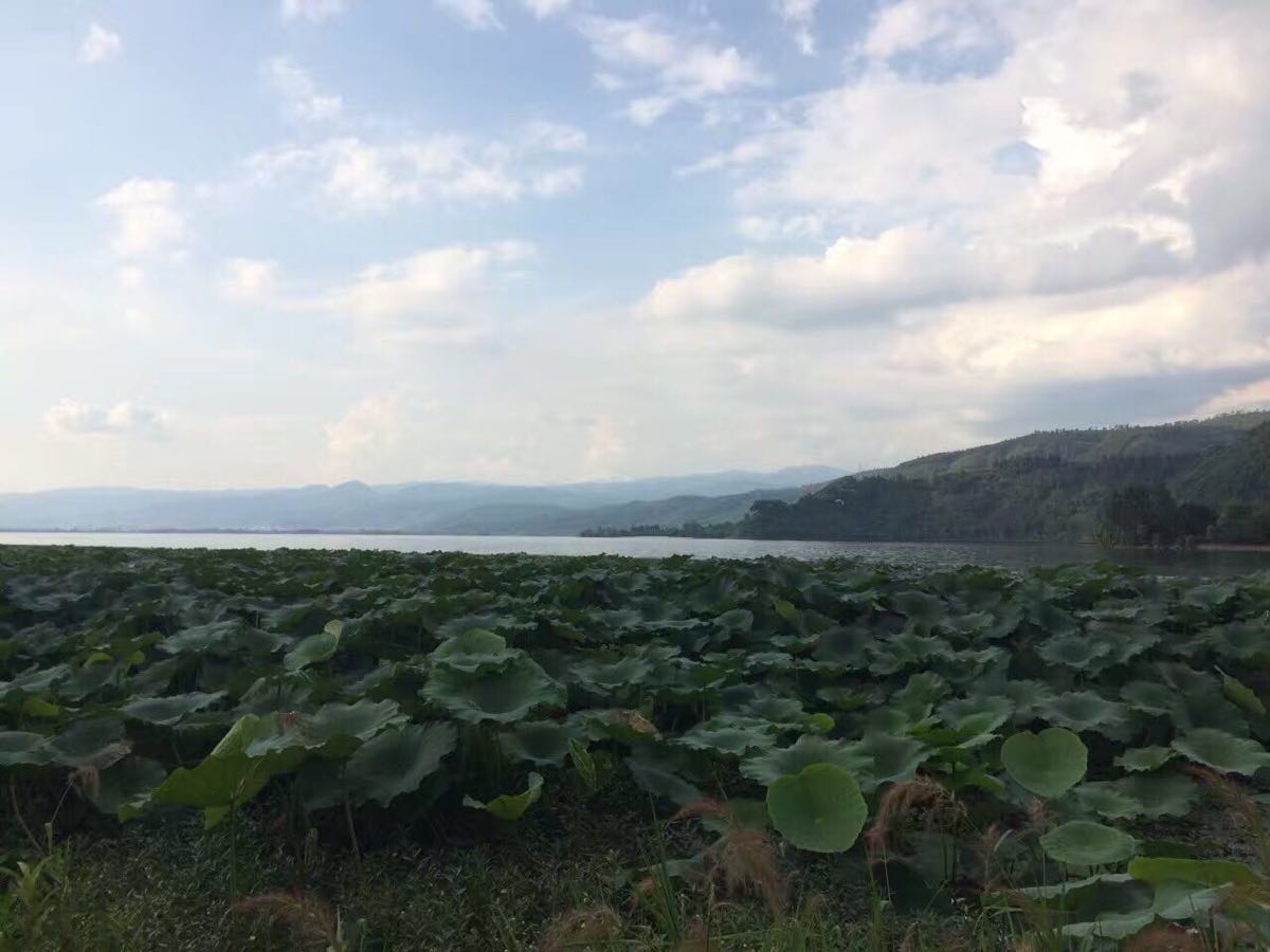 西昌邛海國家溼地公園好玩嗎,西昌邛海國家溼地公園景點怎麼樣_點評