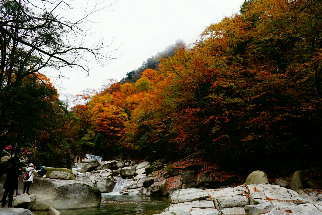 光霧山旅遊景點攻略圖