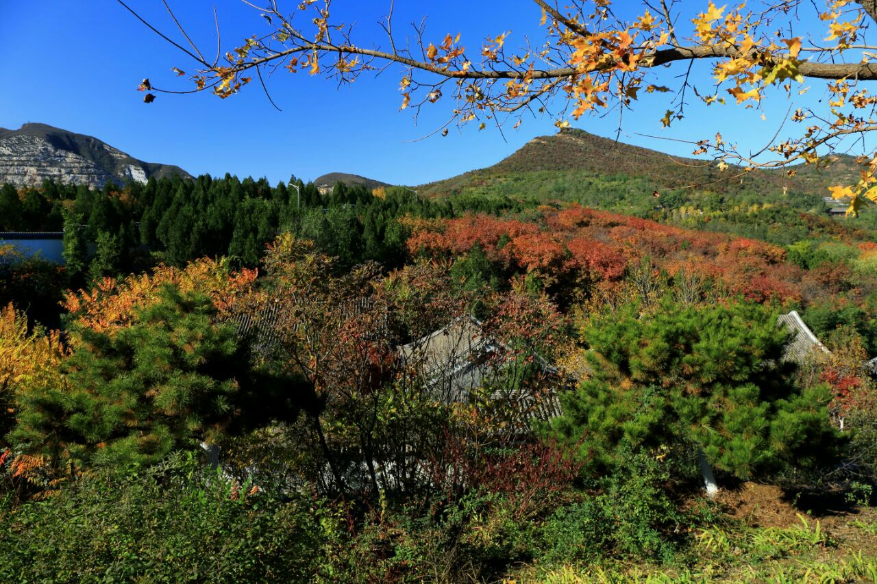 北京北宮國家森林公園好玩嗎,北京北宮國家森林公園景點怎麼樣_點評