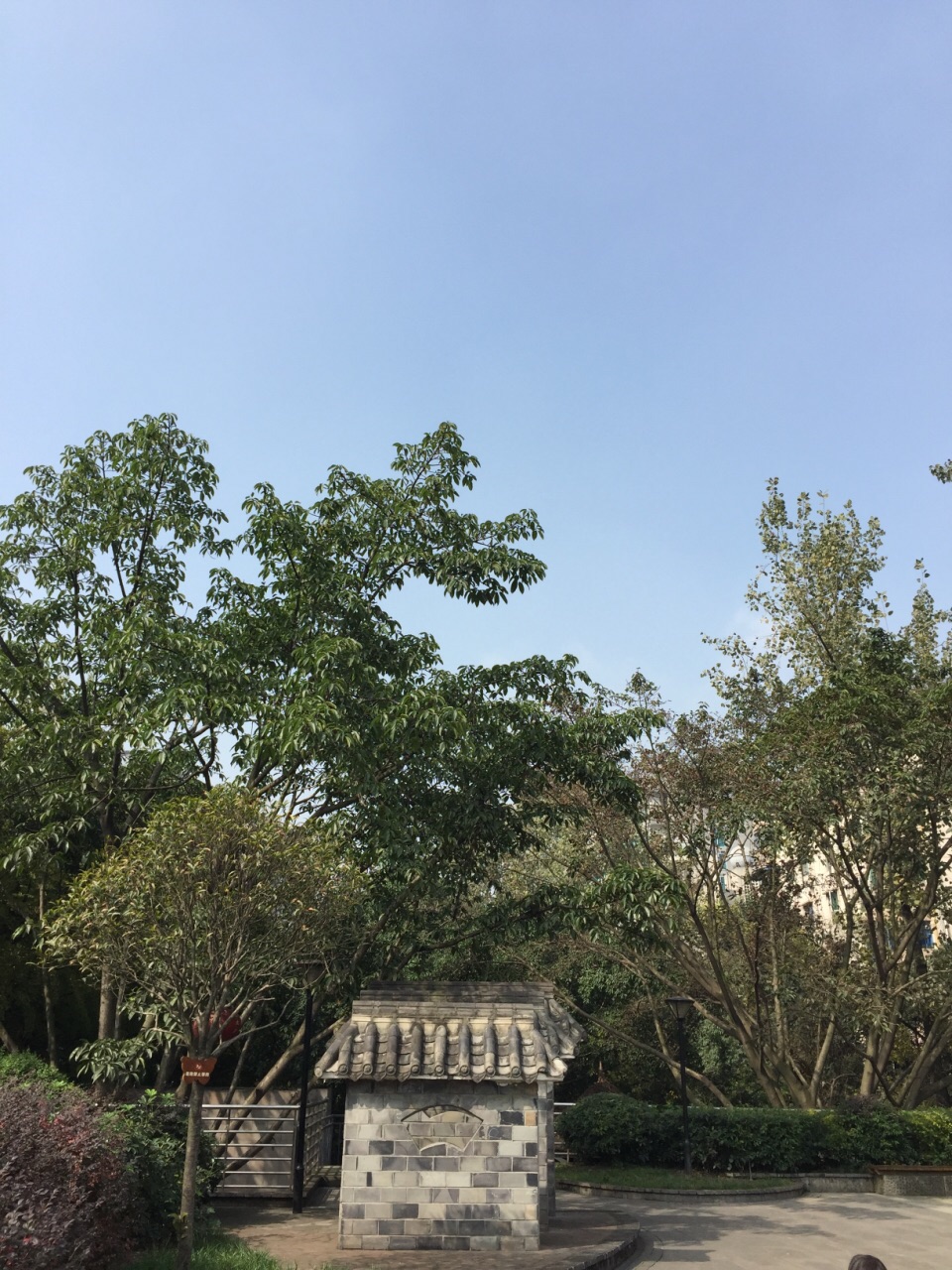 芳草街