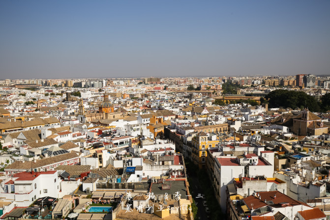 【西班牙】塞维利亚大教堂Seville Cathedral